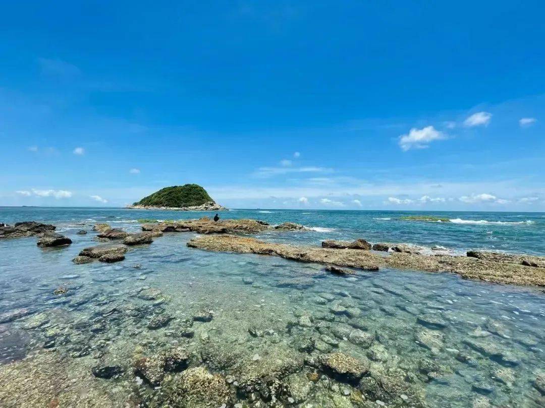 299元含海景房【东虎岛浮潜】78月每周四周六:东虎岛浮潜赶海 盐洲岛