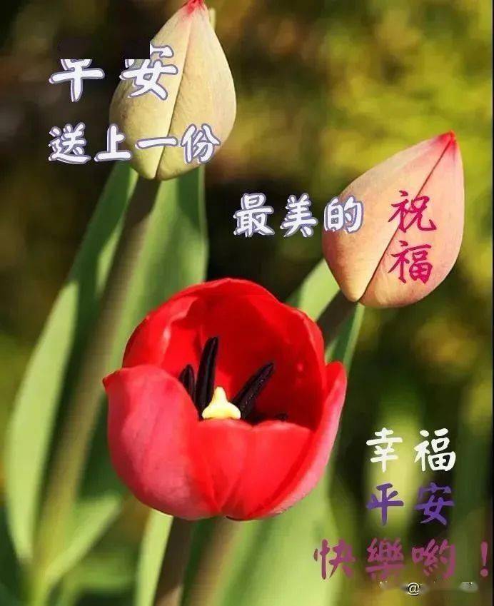 7月19日星期二早上好表情图片大全,周二早安天气炎热注意防暑_人生