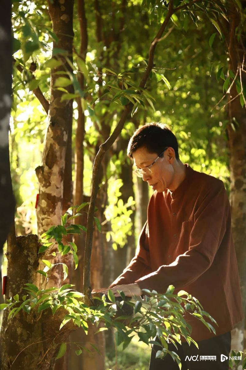 非遗传承人黄欧打造千亿产业链_技艺_尚正堂_年轻人