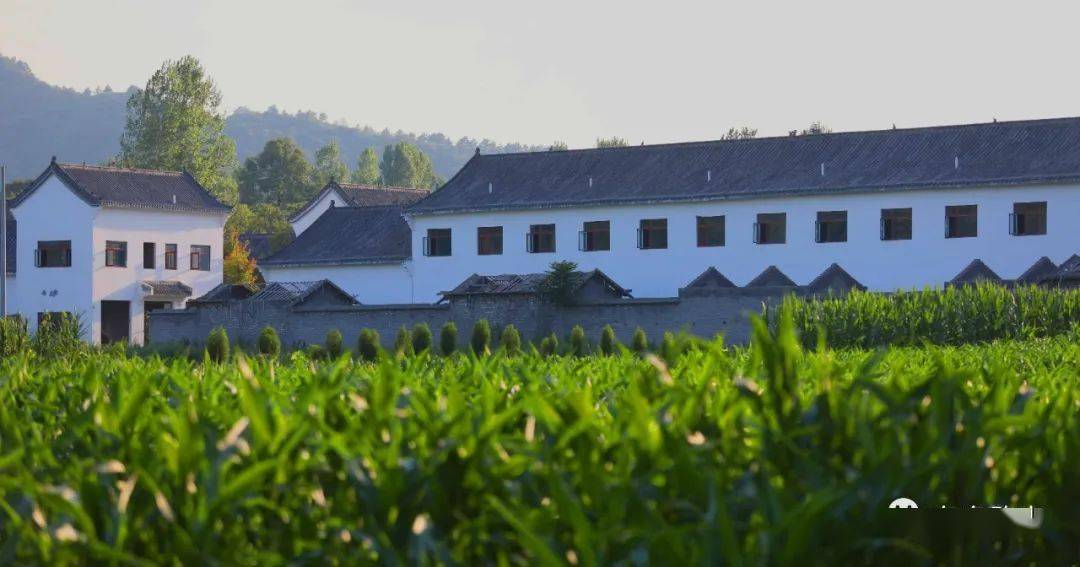 【大美确山61出彩有你】瓦岗镇:初心使命解民忧 "瓦岗三宝"美名扬