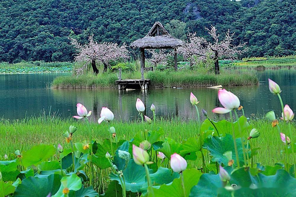 山峦叠嶂湖水清澈山峰倒映在湖面上的三生三世桃花岛