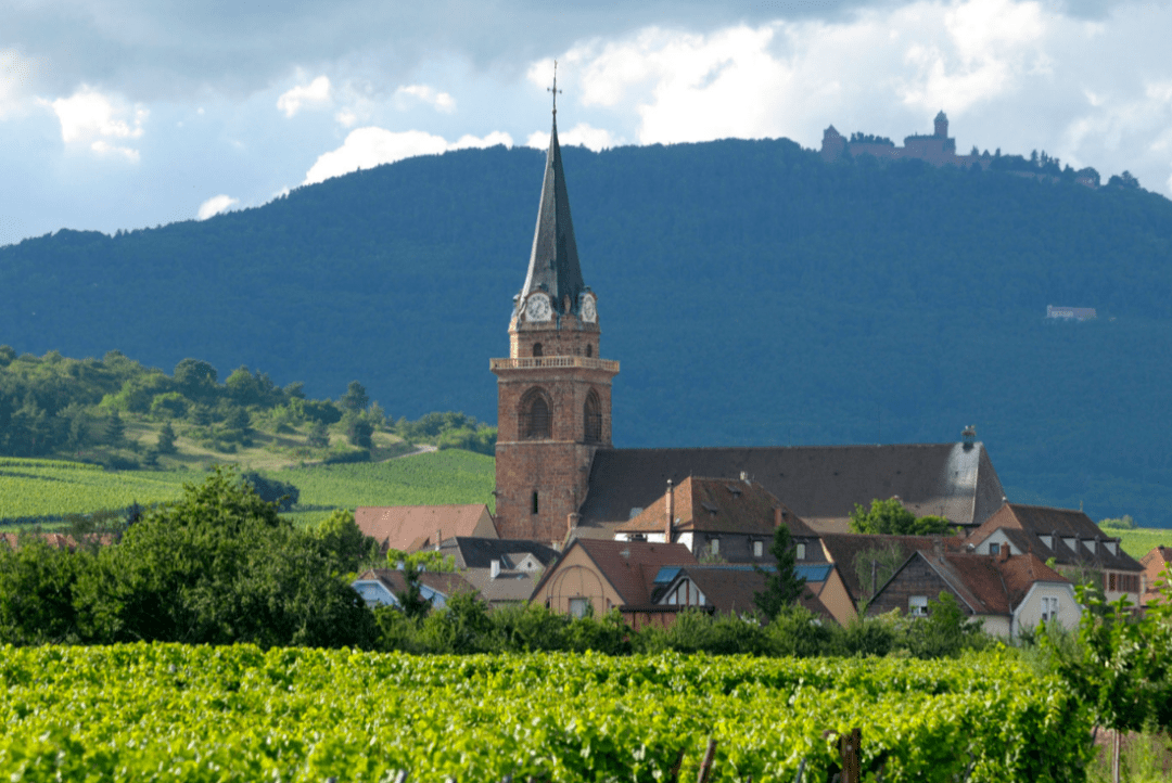 2022年法国人最喜欢的乡村出炉第一名就是向往的生活吧