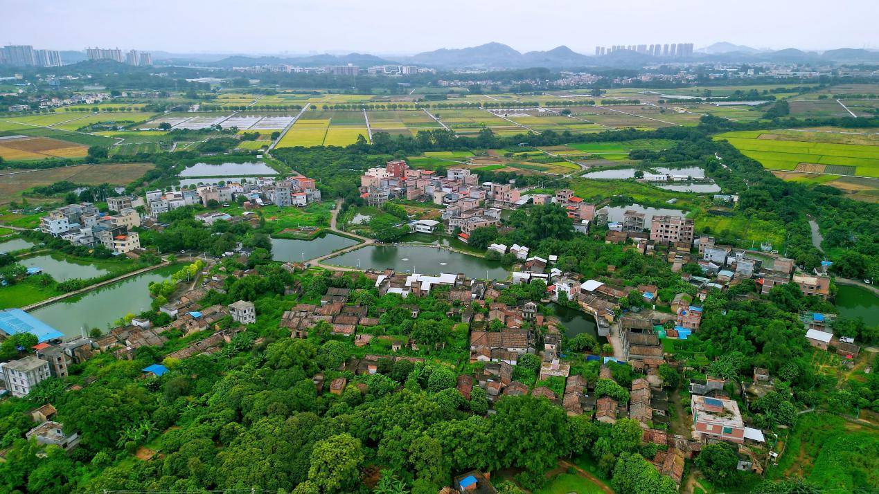 读懂广州·朱村 | 白水山下灵秀之地，粤客异姓和谐相处