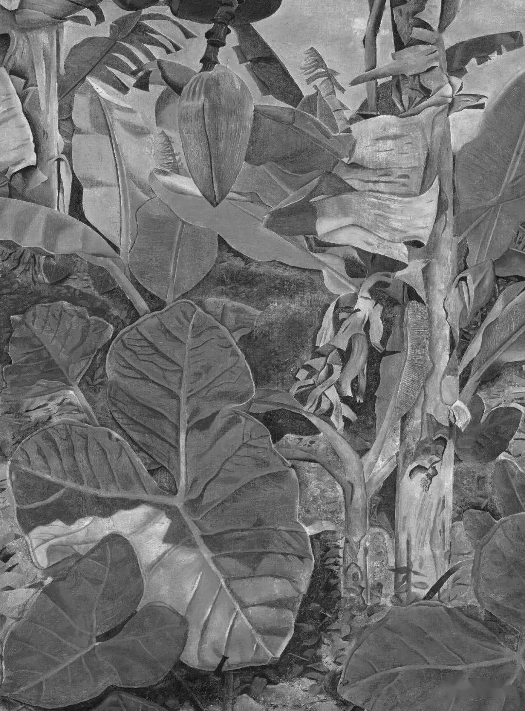 弗洛伊德lucian freud作品中黑白灰安东尼奥·洛佩兹·加西亚antonio