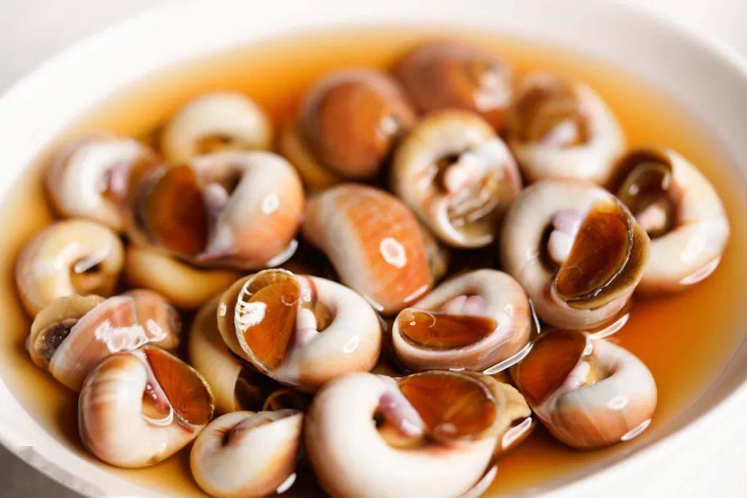 地道舟山醉香螺陈年花雕熟醉壳薄肉饱满清爽入味夏日神仙下酒菜