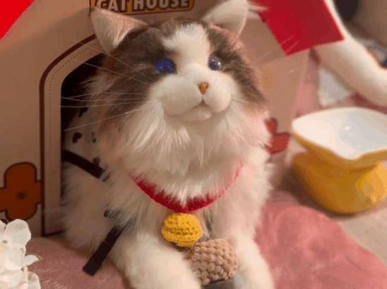 陪伴宠物米塔﻿猫﻿metaCat超萌上线，硬科技也可以柔软治愈_搜狐网