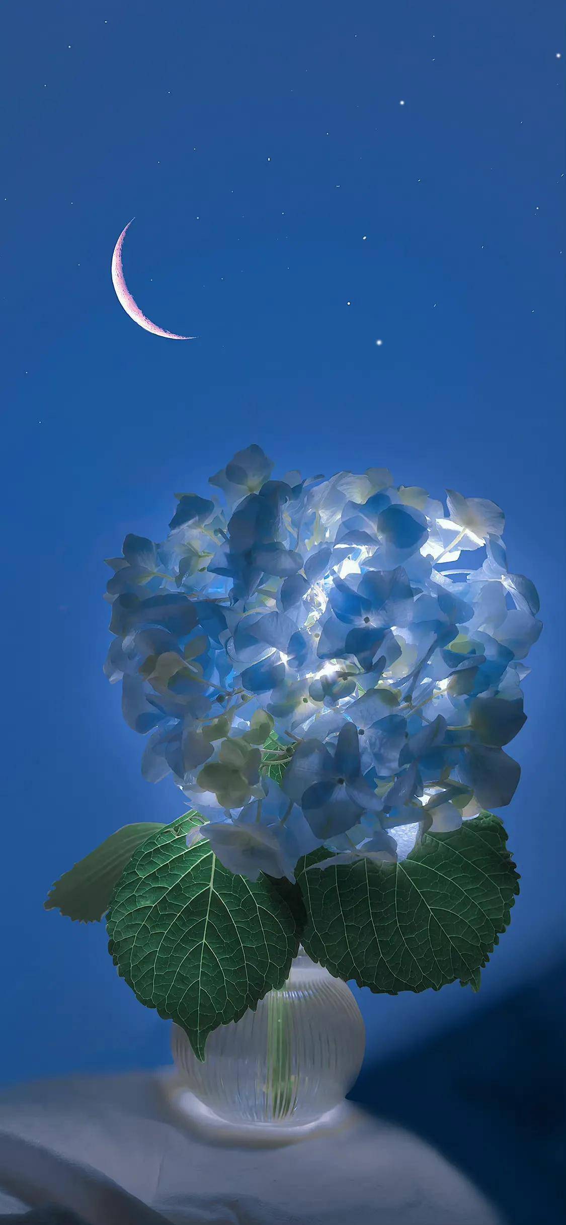 小众好看壁纸集锦_集锦_壁纸