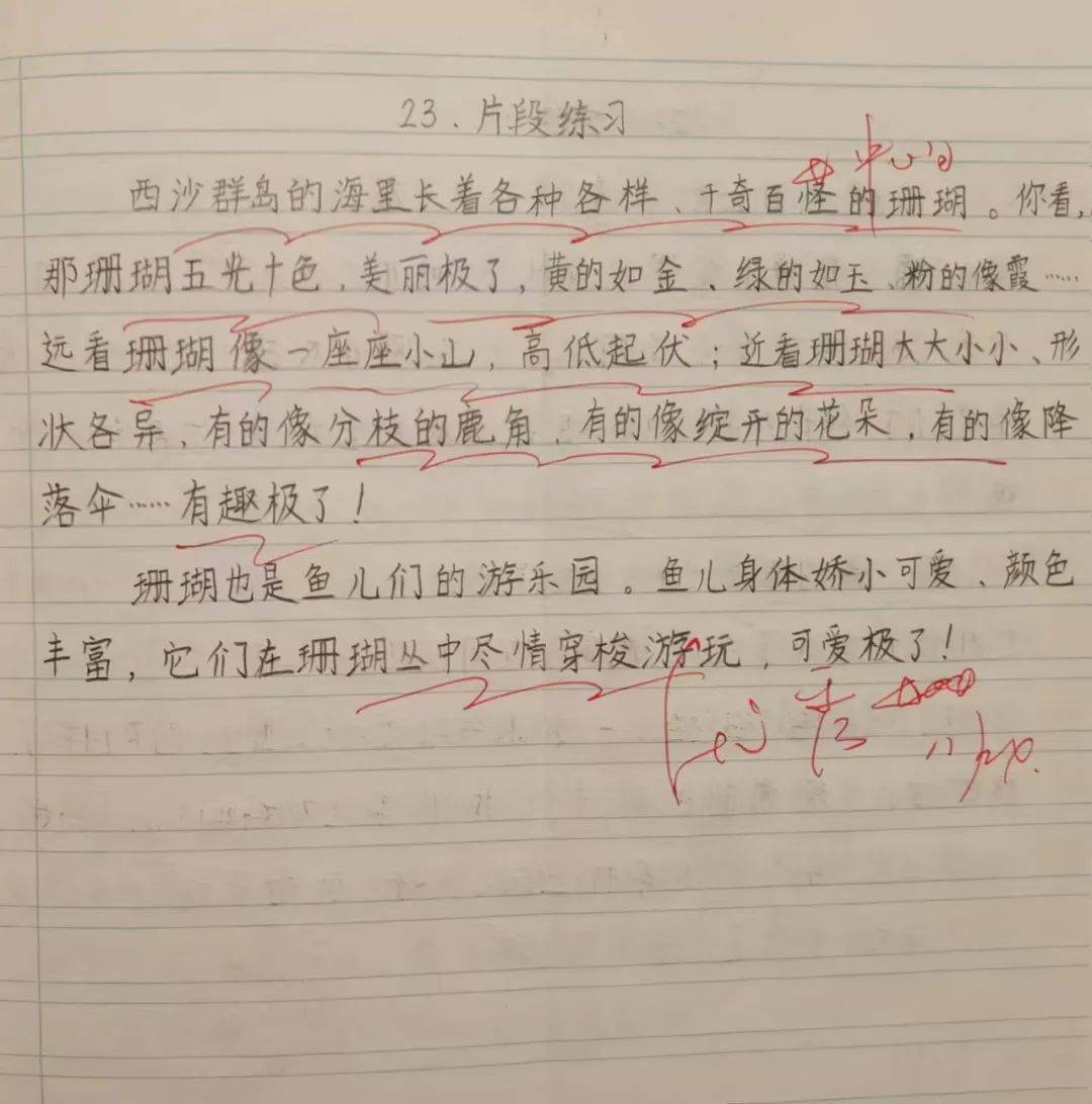 丁丁收藏:三年级上册课后小练笔(全)_桂花_蝴蝶_叶子