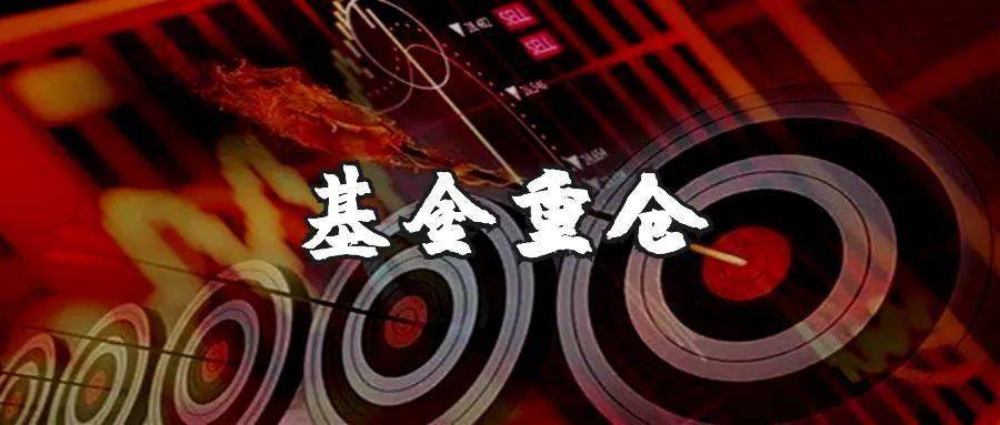 最新公募基金重仓股top100名单!_个股_持股_总股本