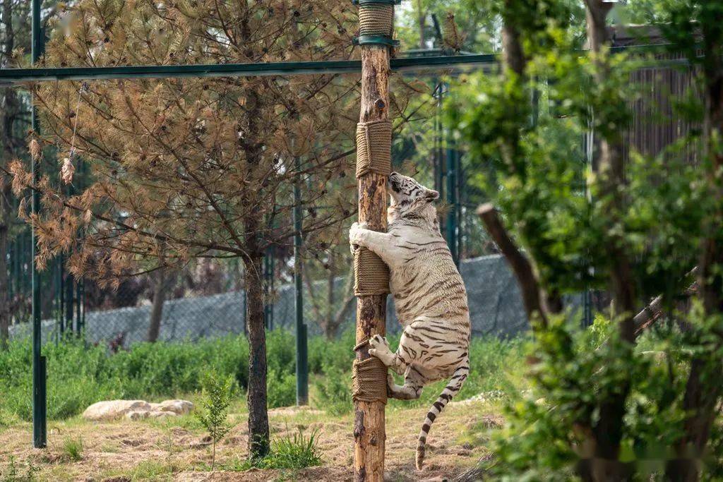 2022太原動物園