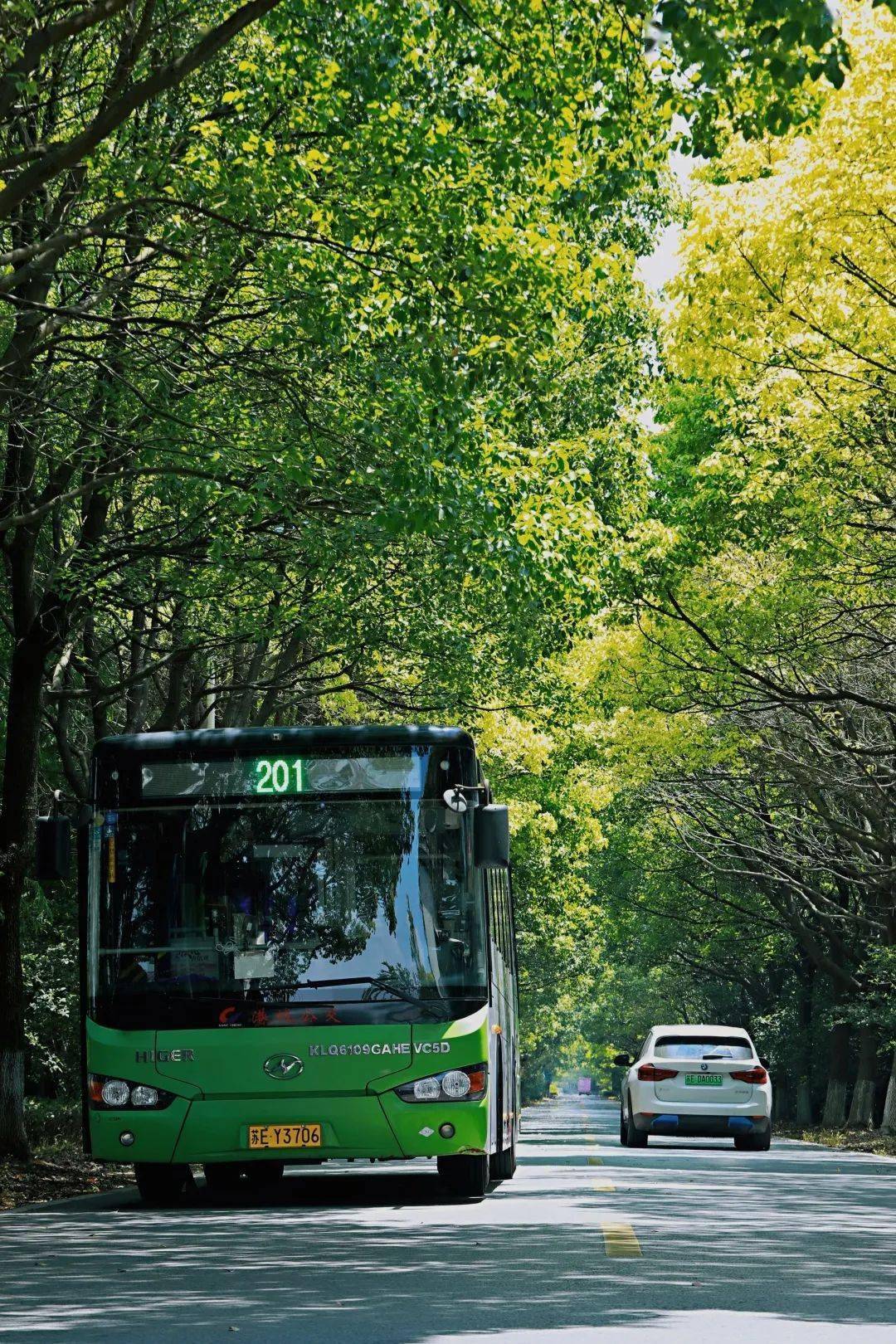 张家港公交:为出行加速 为生活添彩 为乡村振兴插上隐形的翅膀_邮路