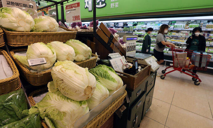 一颗白菜最高卖50人民币！韩媒：自产泡菜涨价，从中国进口激增