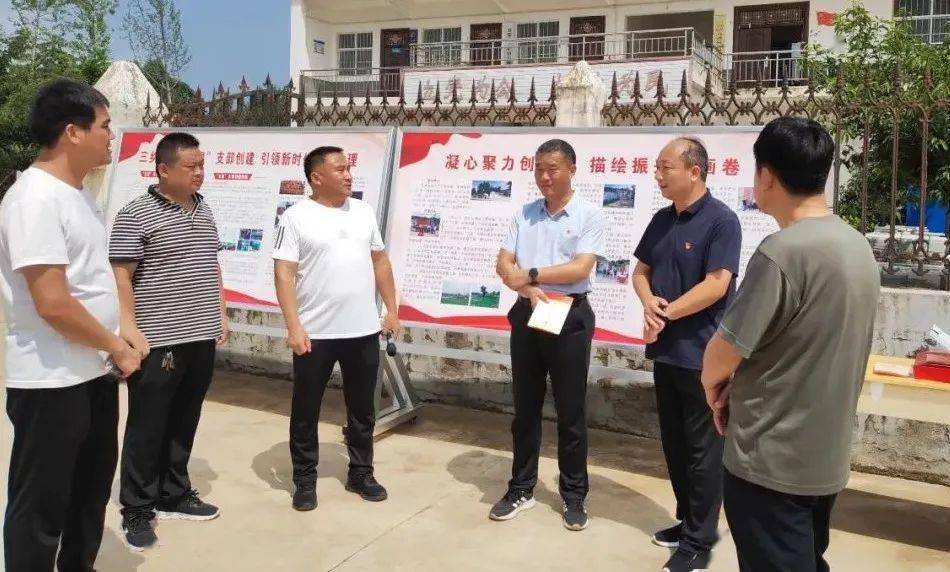 县委政法委书记赵珂带领观摩组先后到樊村镇后杓村,里河村,白杨镇高头