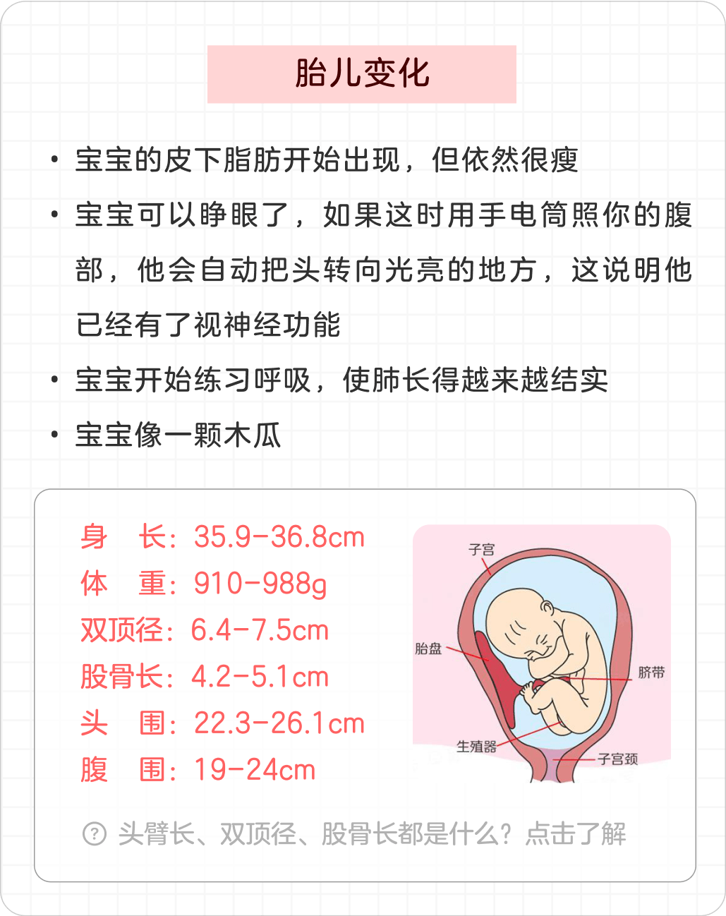 限免 嫌疑人x的献身 最好的阴谋和最纯粹的爱情 福利 火把 妈妈