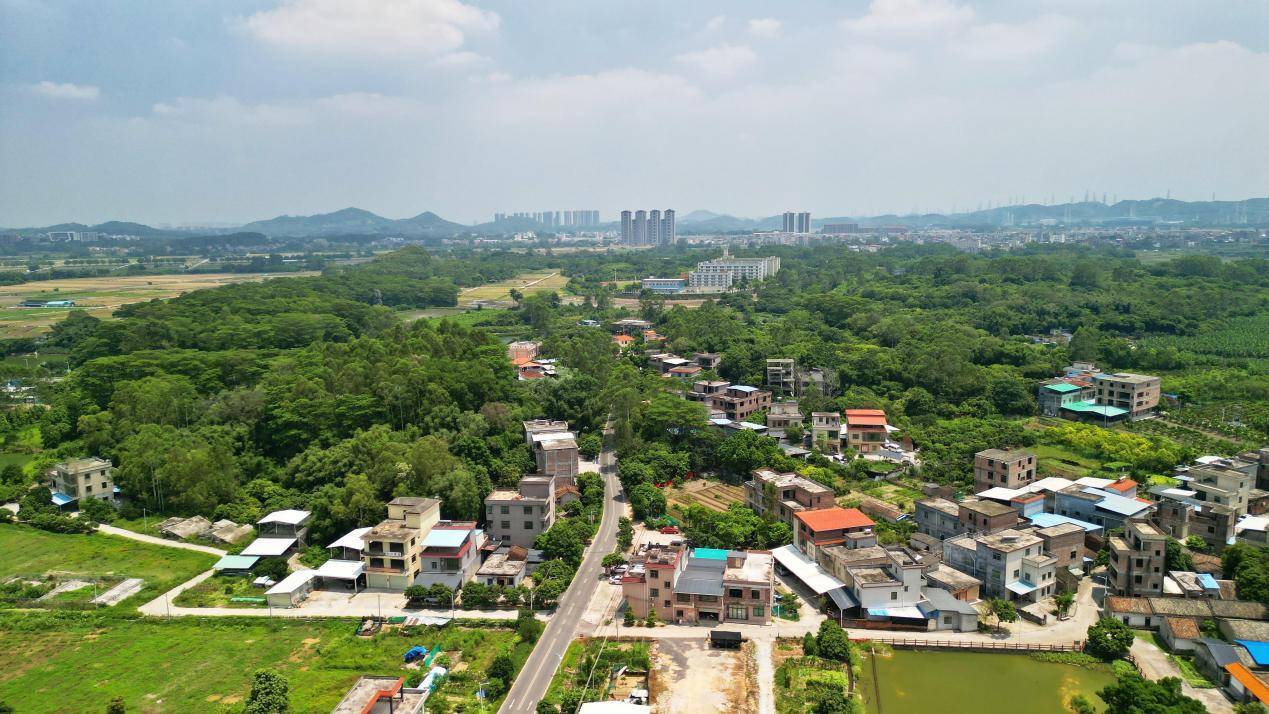 读懂广州·朱村 | 耕读传家远，诗书继世长