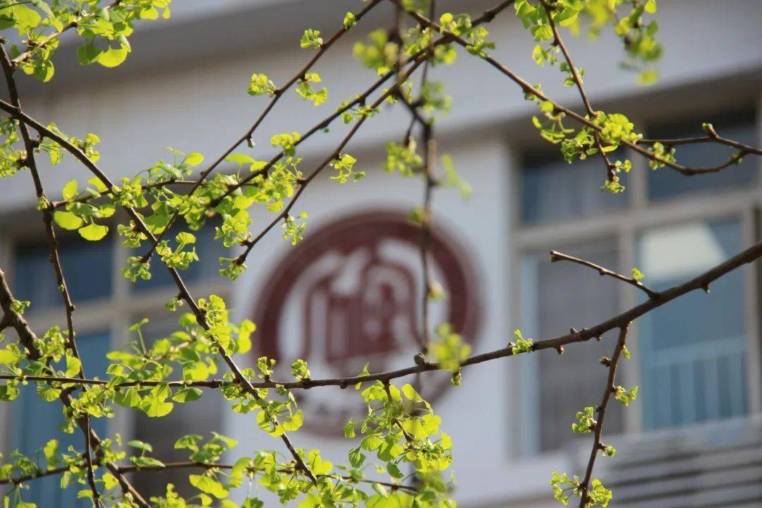 文明典范城市全国文明校园的诗意表达成都市石室联合中学