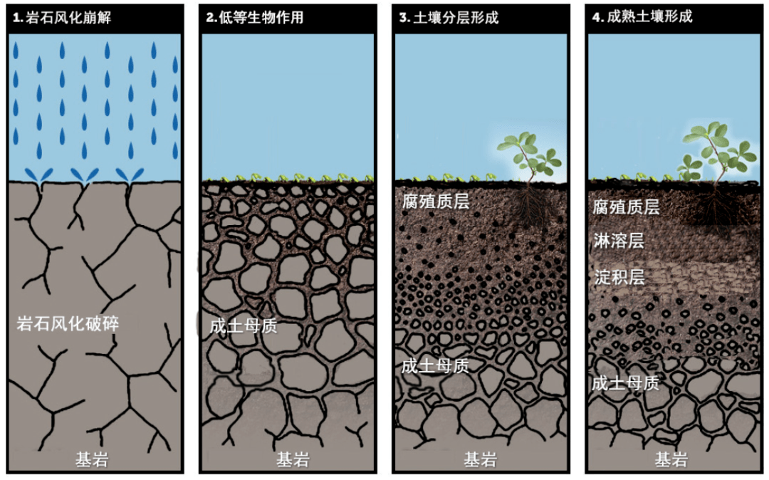 地理视角看农业土壤与农业地理附高中地理农业区位条件评价类答题思路