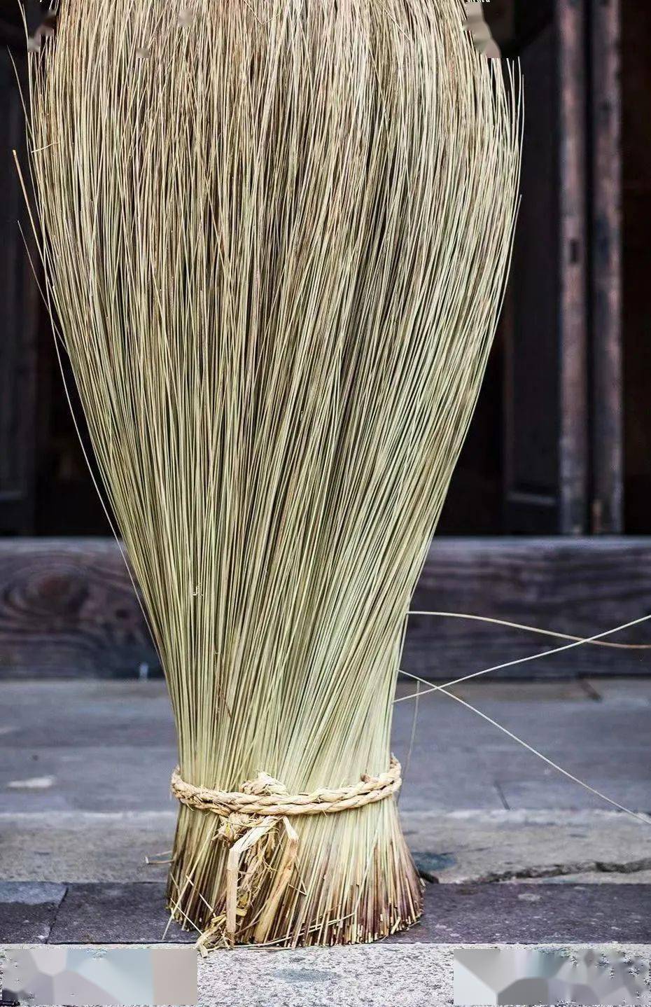 它不仅是凹造型利器,更承载了最悠长的情思._蒲扇_工艺品_叶子