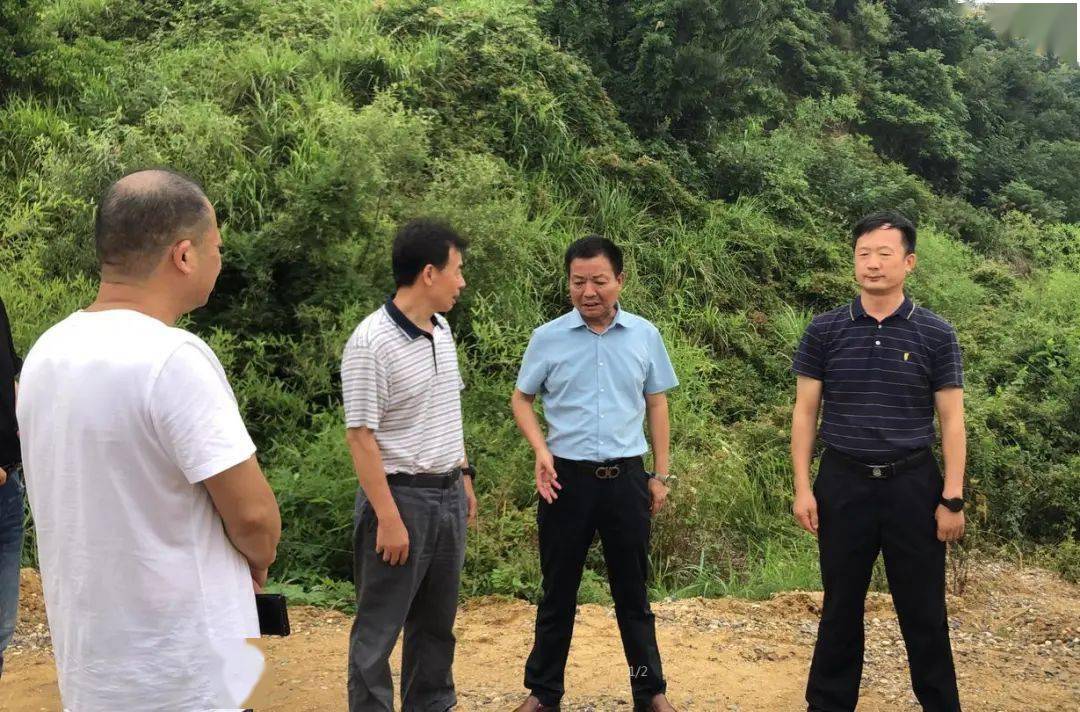 立行立改,杨林山码头环保问题整改落实完成_交通运输局_进行_砂石