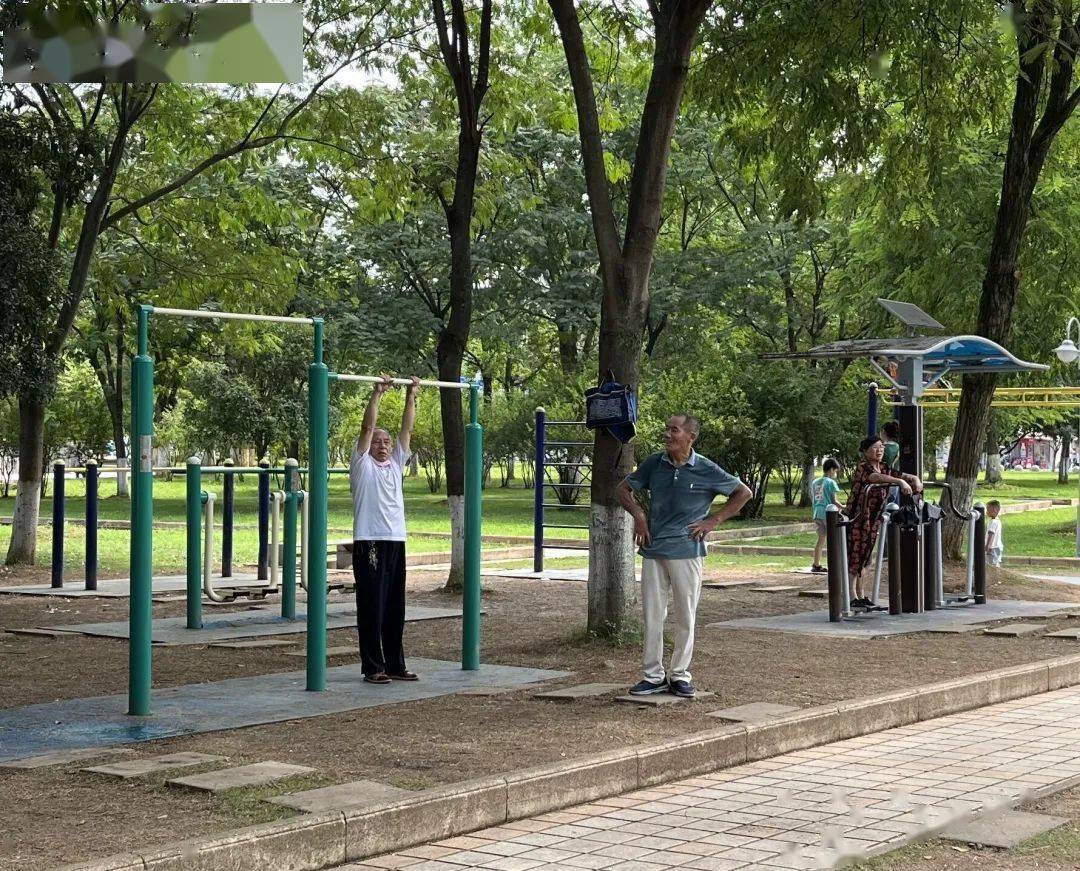 赤壁中老年人生活图鉴,远比你想象的更有战斗力!_公园_年轻人_东西