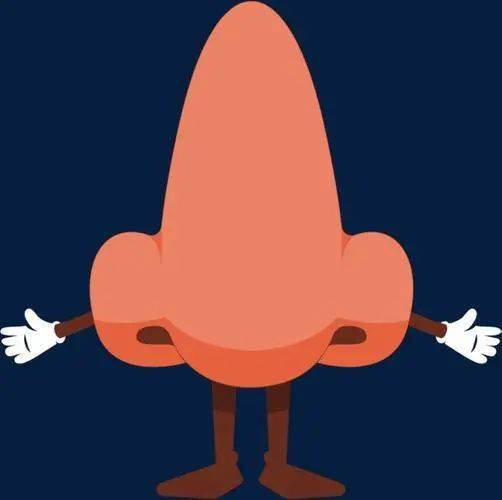 鼻毛太长了怎么办?首先,一定不要直接拔掉……_鼻粘膜_的作用_修剪