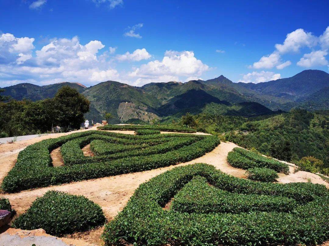 自然生態環境保護完整,一進入農場,放眼群山,大千景象收盡眼底,傳統