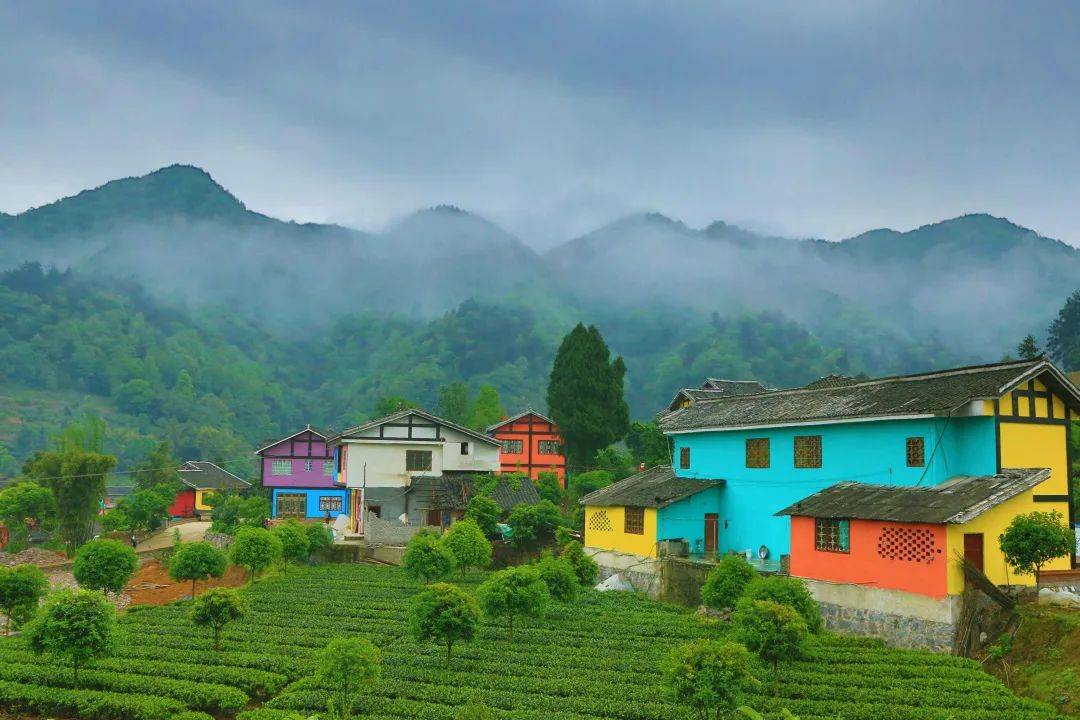 七彩部落位于湄潭县金花村,被称为"中国3d生态彩色村",村子门口的茶园