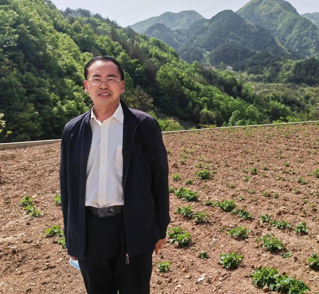 靓文· 献礼建军节|【张吉华】您好,老兵!(上篇)_谢吉安_敌人_土豆