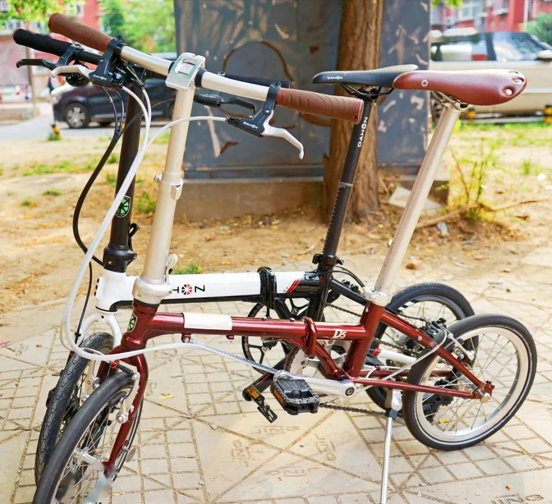 dahon kaa693