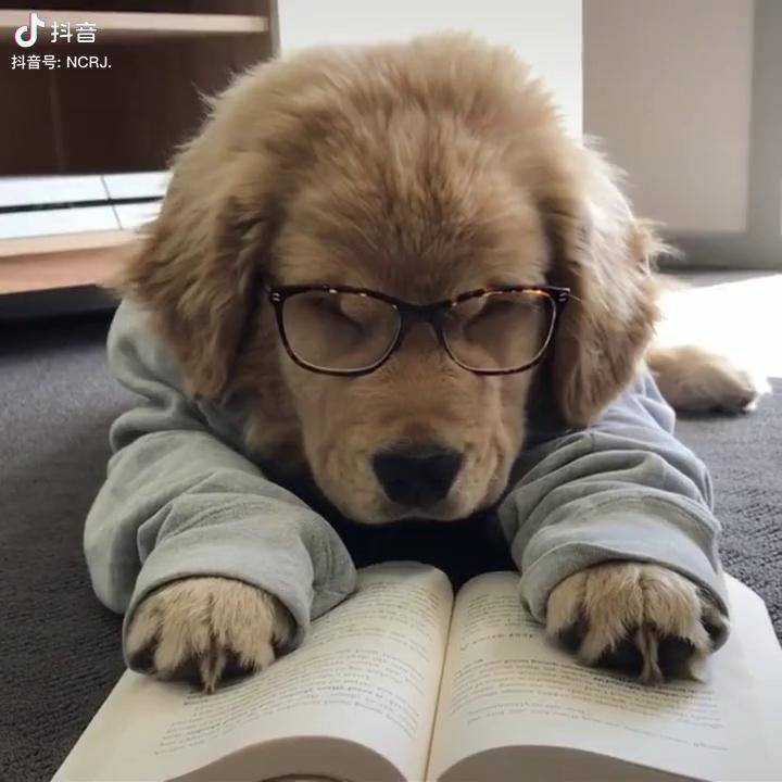 果然看书是最催眠的!