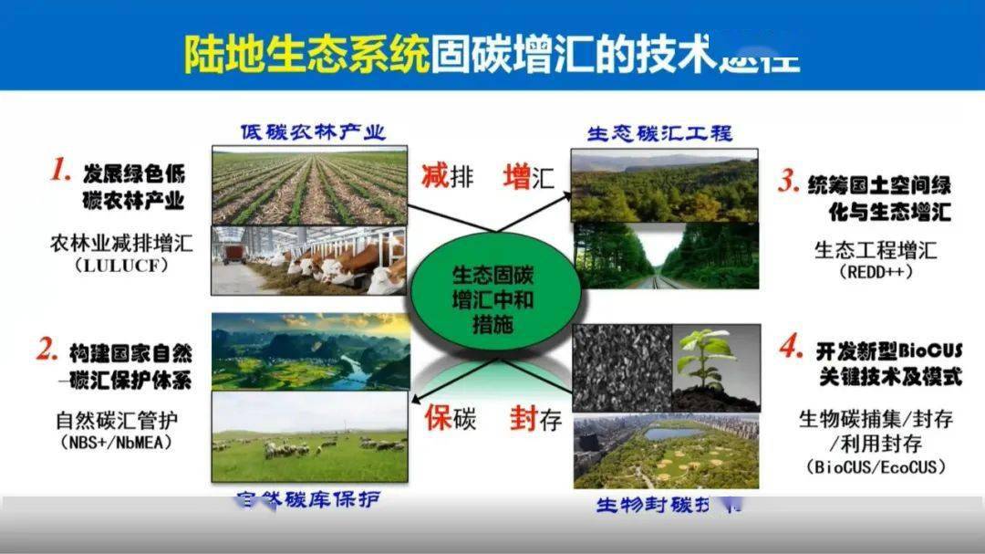 双碳于贵瑞院士陆地生态系统的碳汇潜力及增汇技术途径