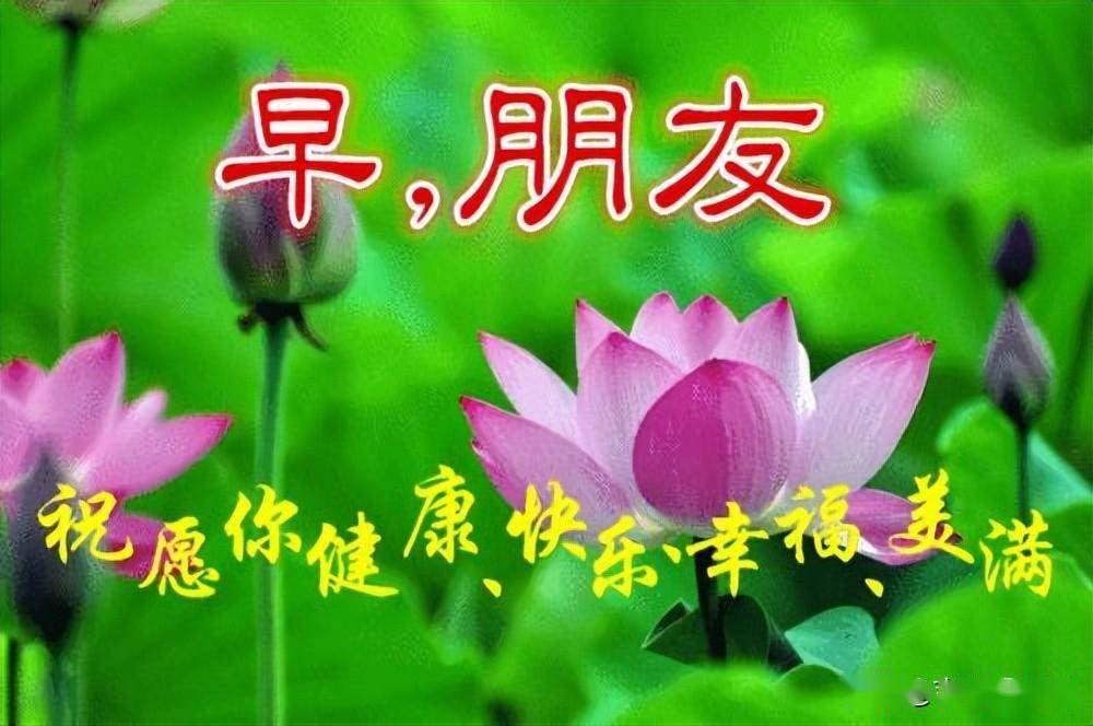 週四最新早上好表情祝福甜甜的問候祝你開心每一天