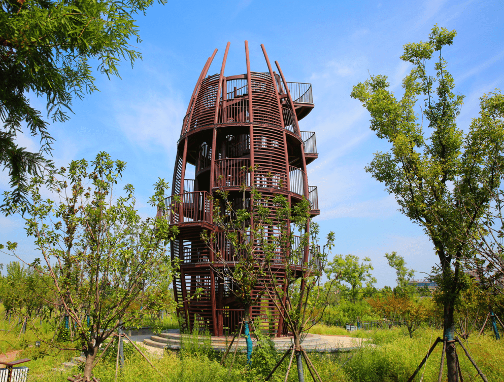 67醉美曹田沟拿起手机或相机很多界首人都要来这里了