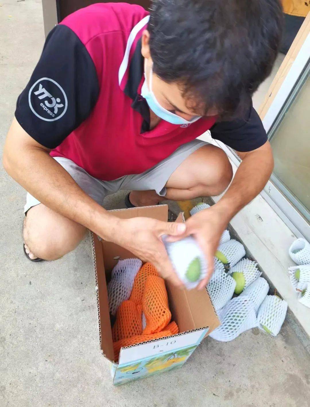 快递进村|在"太阳之城",圆通小哥穿山越岭运输"芒"_米易县_攀枝花