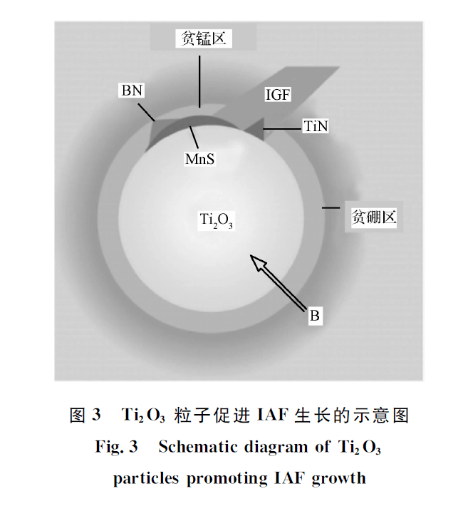 【佳文推荐】 杨健: 镁处理对钢中夹杂物以及HAZ组织和性能的影响 _The_oxide_of