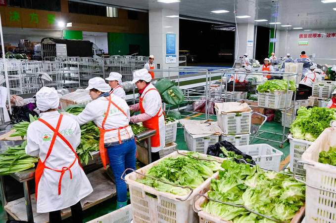 每日优鲜陷破产风波 生鲜电商路在何方?_京喜_前置_业务