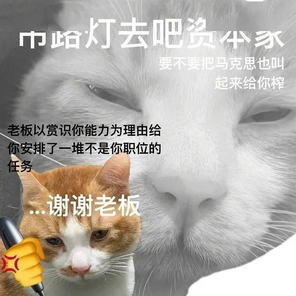 分享一波"表里不一"表情包 ​​​​:_包库_面孔_网络