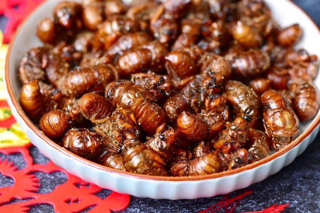 08 豆果美食:尔東美食记虫子没什么档次,哪怕曾经最"高档"的炸蝎子