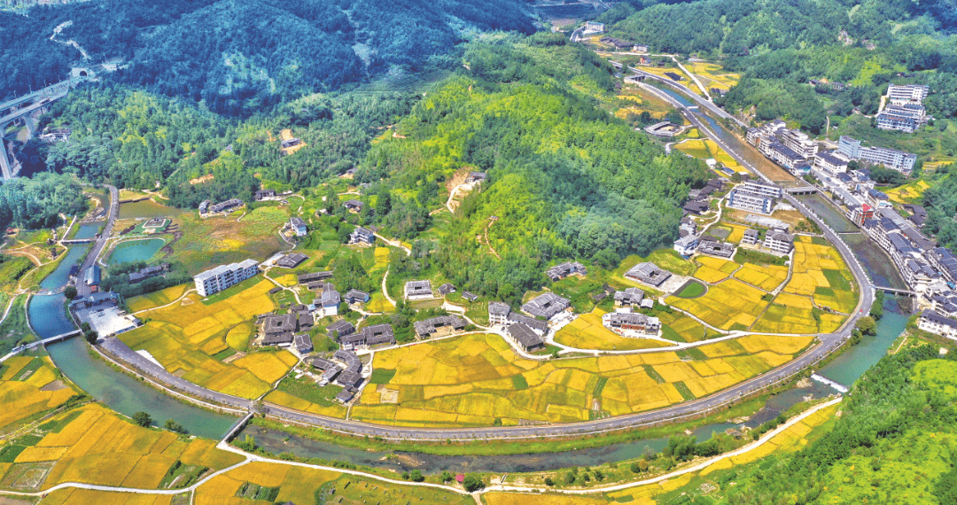 泉州市“七个到位”扎实开展乡村“五个美丽”建设_工作_晋江市_评选