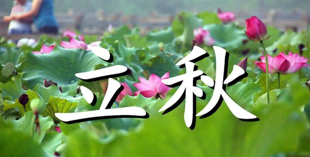 明日立秋 少食2瓜 多吃3白 做好这4件事 秋冬少生病 人体 西瓜 天气