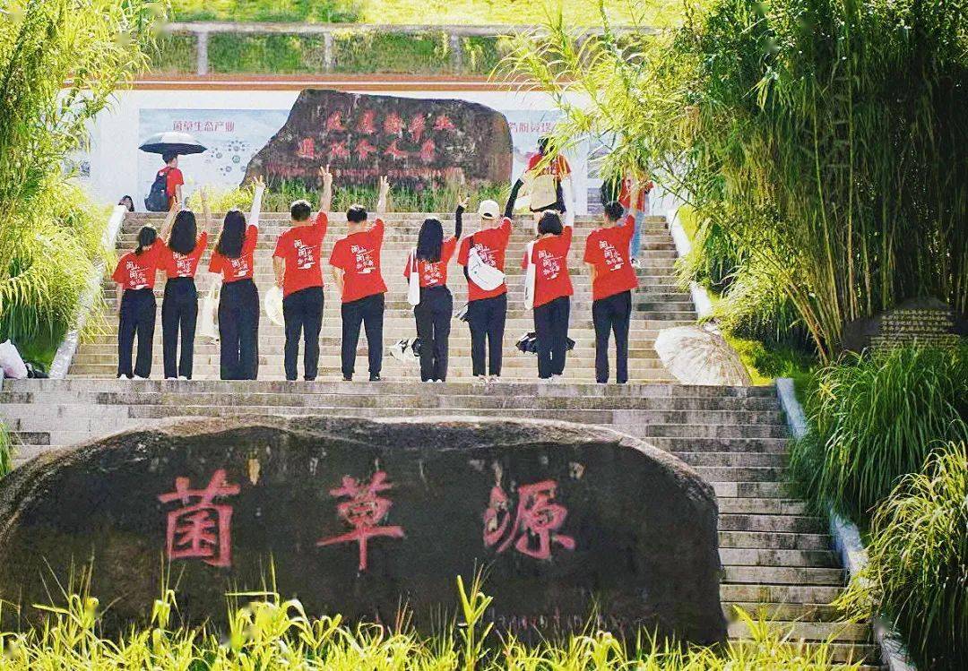 物华新 青年新 新华研学有志青年召集令 向山海 新华书店 中山