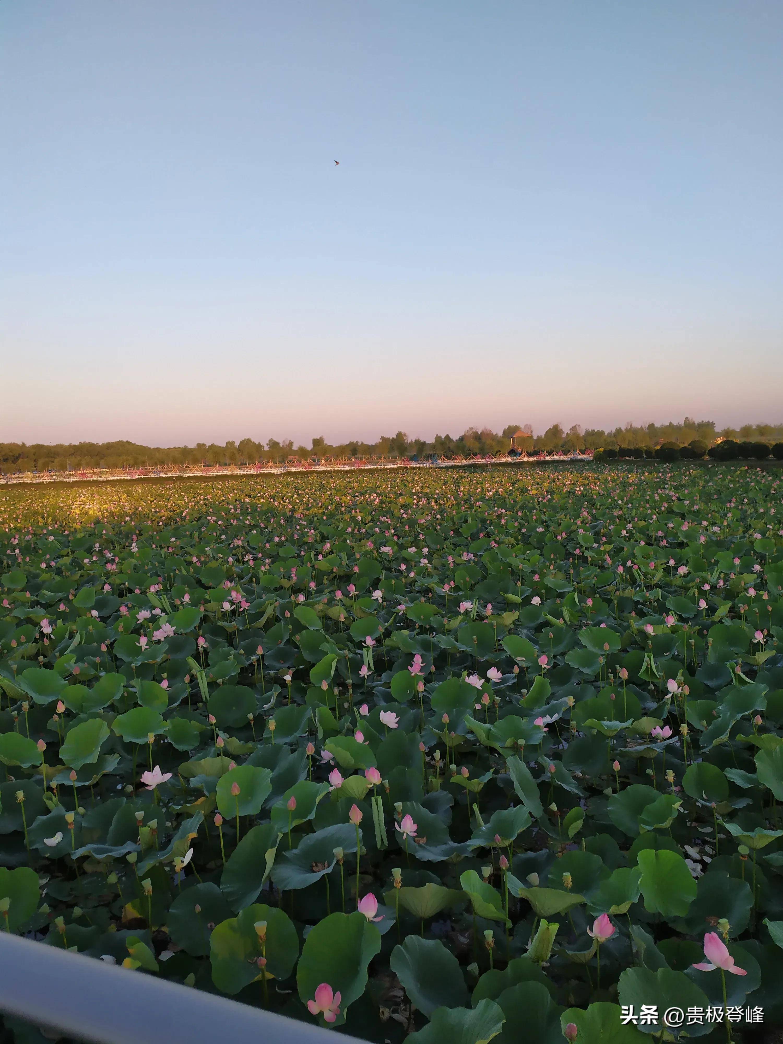 望海潮·东南形胜_高牙_桂子_钱塘