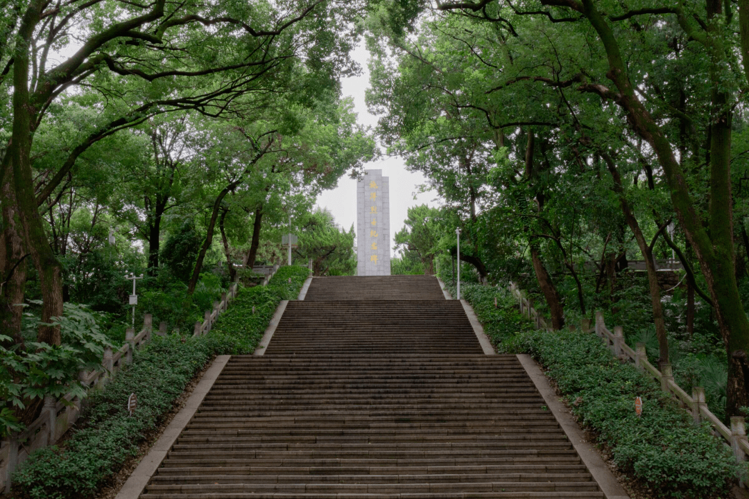 【耕读路上】重温先烈事迹,传承革命精神_施洋_实践团_烈士陵园