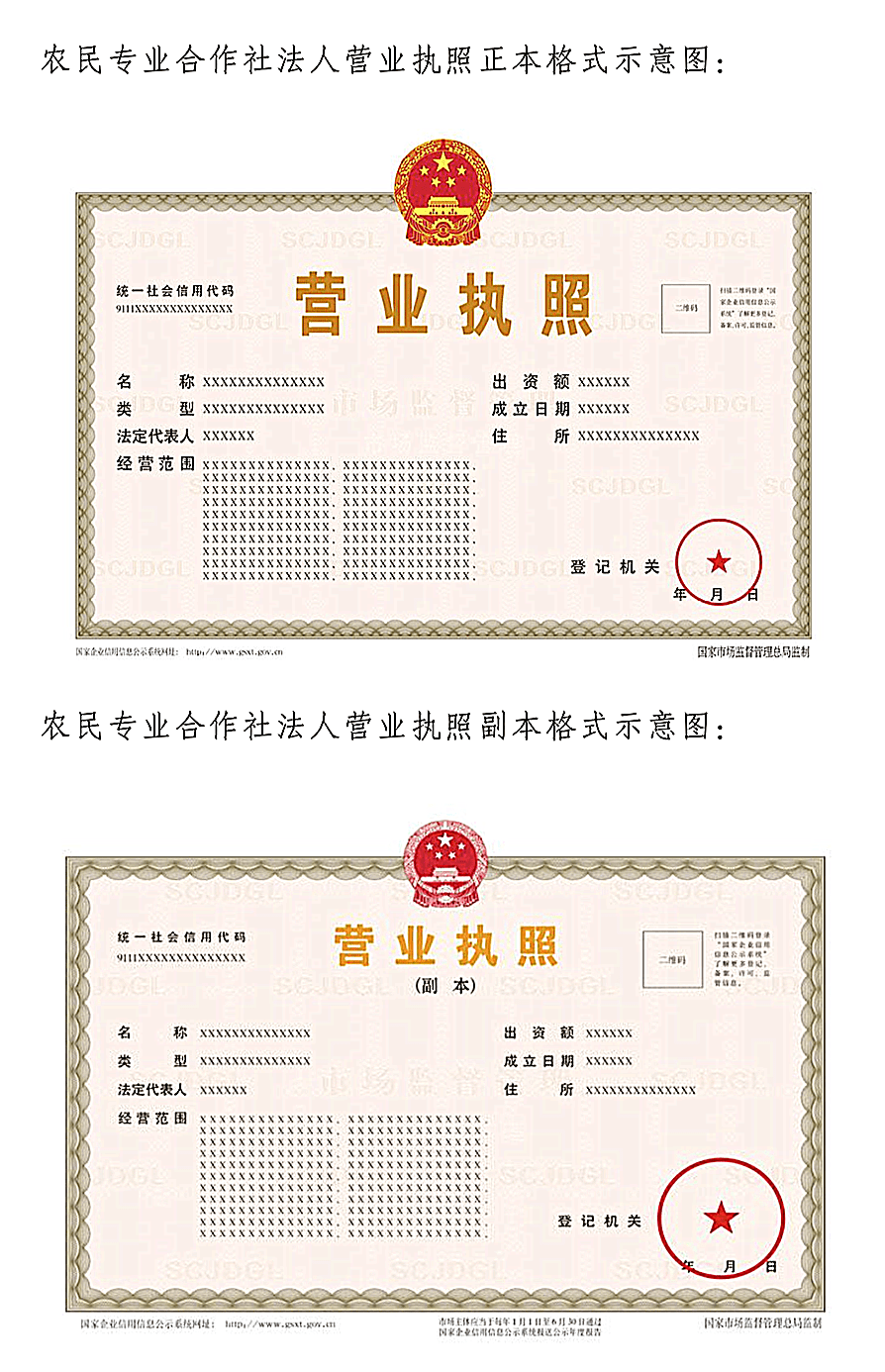 新版营业执照变化太大9月1日起执行