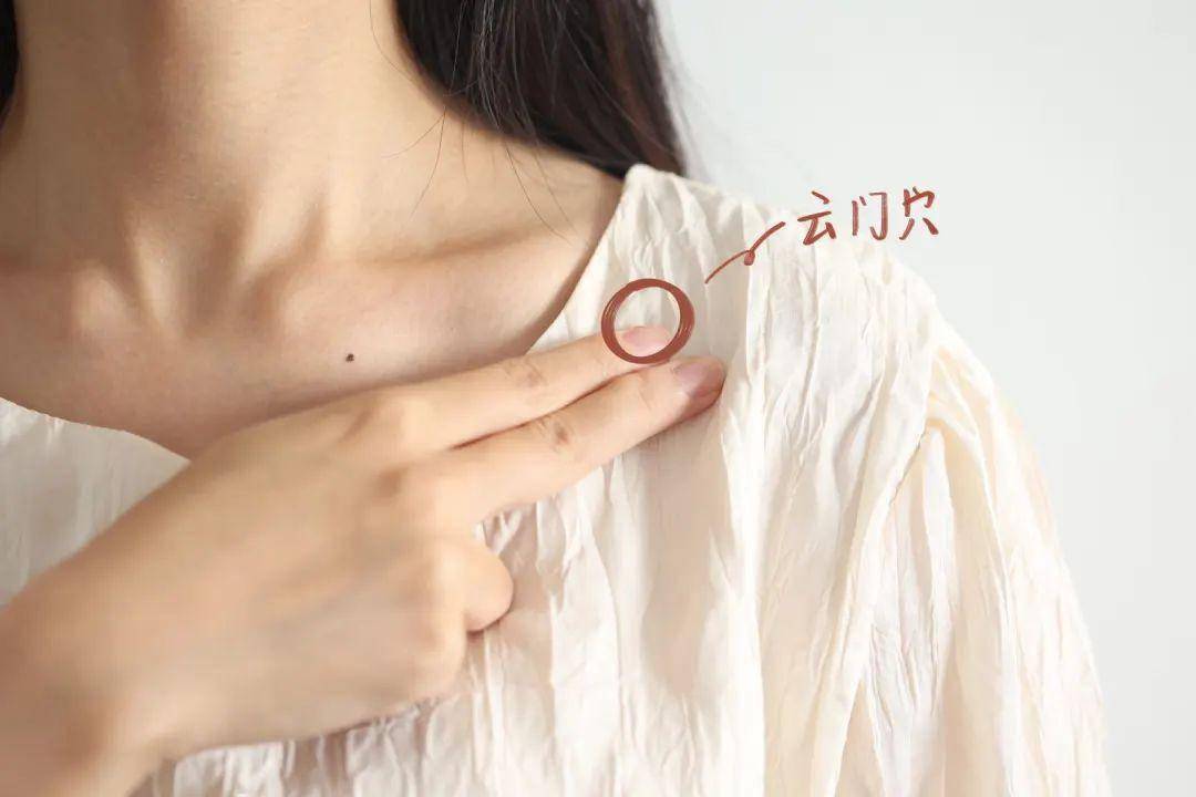 锁骨是什么位置 来自搜狐网