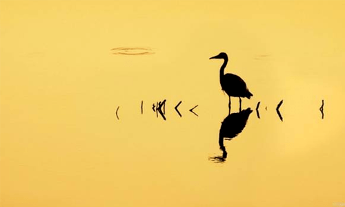 人终有一死（瞬间醒脑）!