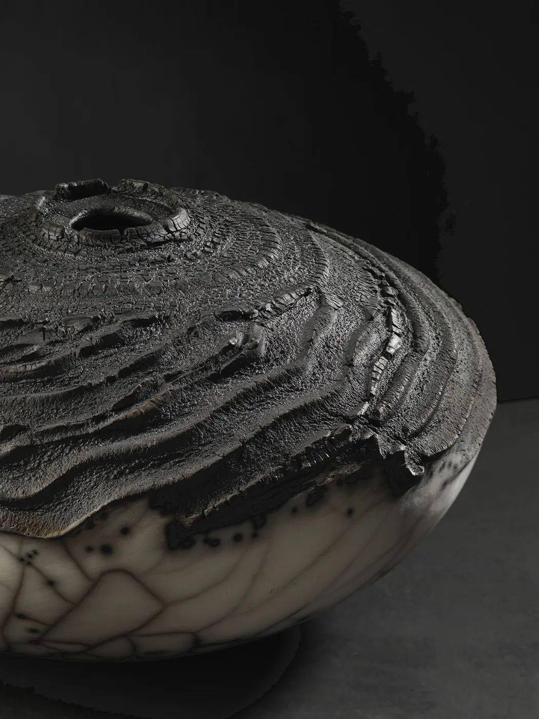 英国陶艺家patricia shone丨充满张力的器物肌理_自然_人类_作品