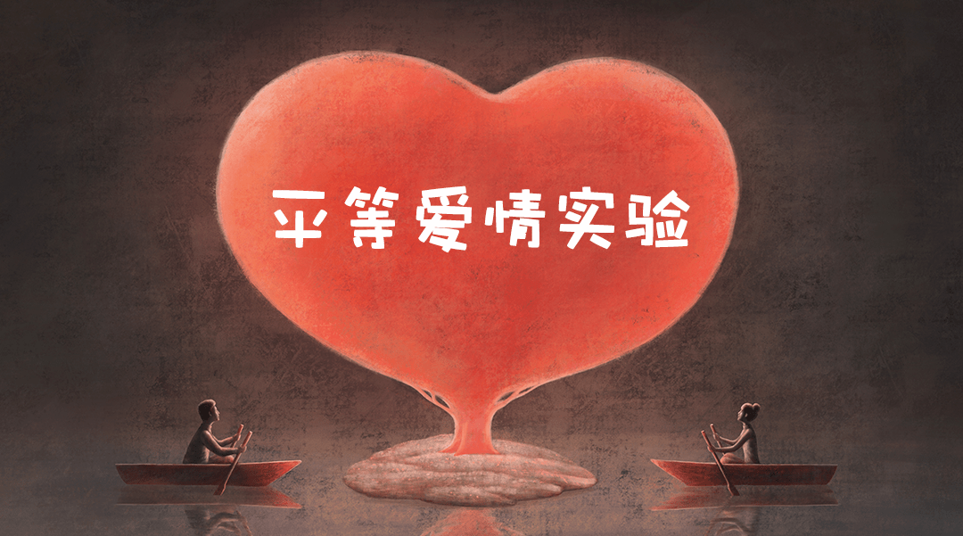 平等爱情实验cp配对完成8项任务测试平等指数遇见平等爱情