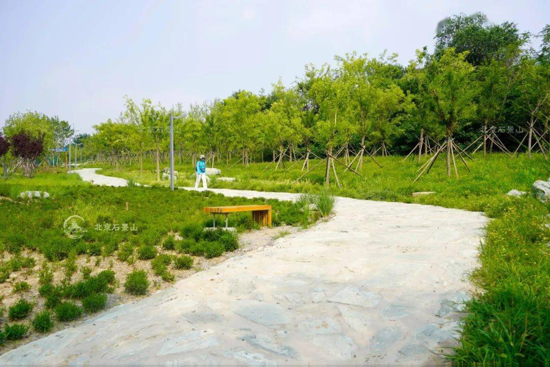 存在置身其中炮山城市森林公园坐落在石景山五里坨地区的石景山区炮山
