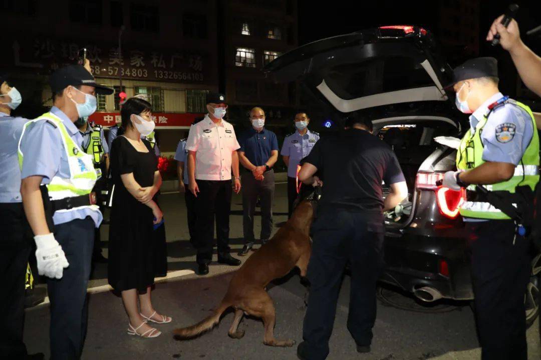 茂名警方大行动,全域扫毒144人落网_禁毒_进行_省公安厅